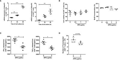 Adiponectin Deficiency Enhances Anti-Tumor Immunity of CD8+ T Cells in Rhabdomyosarcoma Through Inhibiting STAT3 Activation